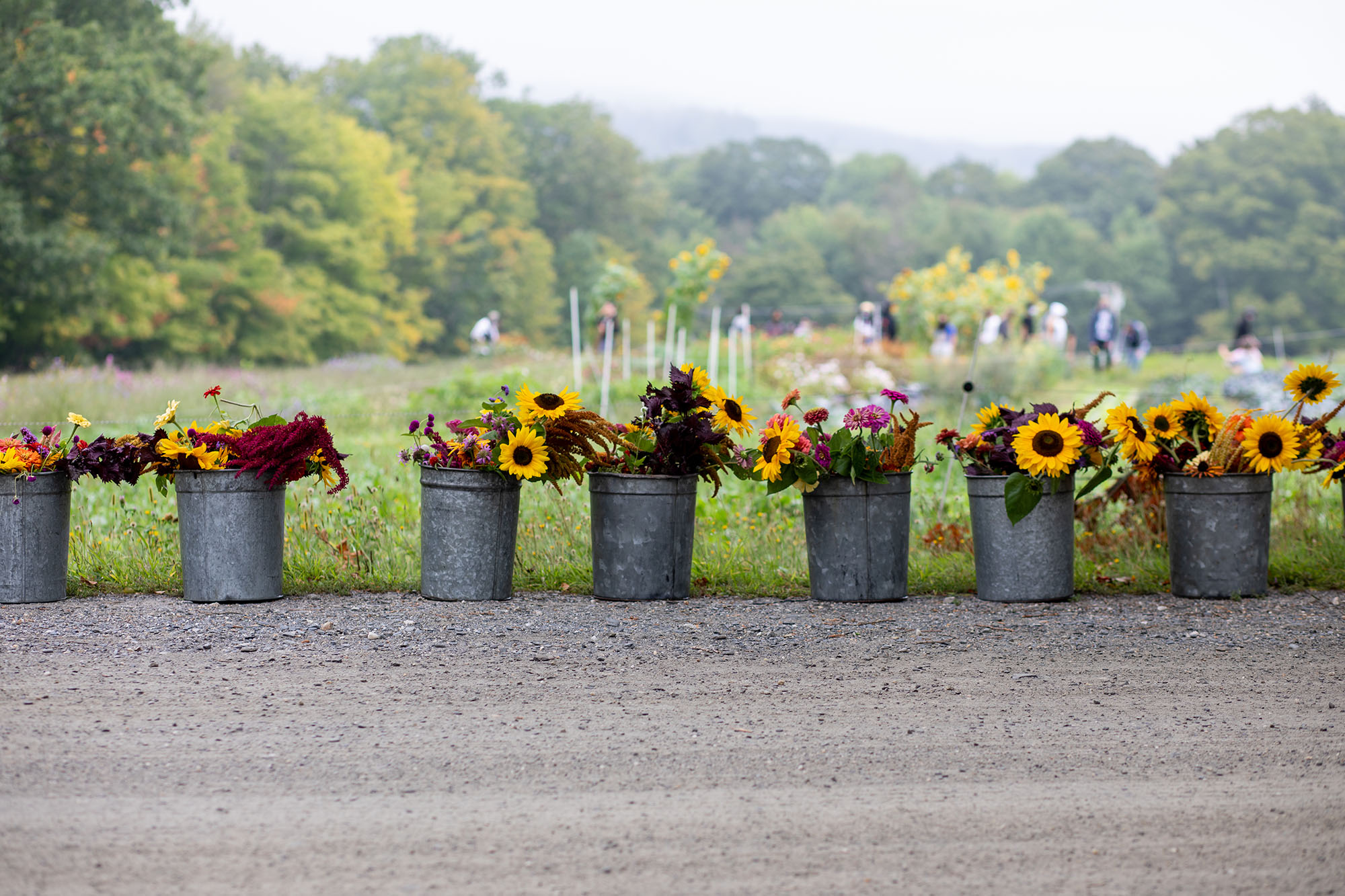 garden-flowerbuckets