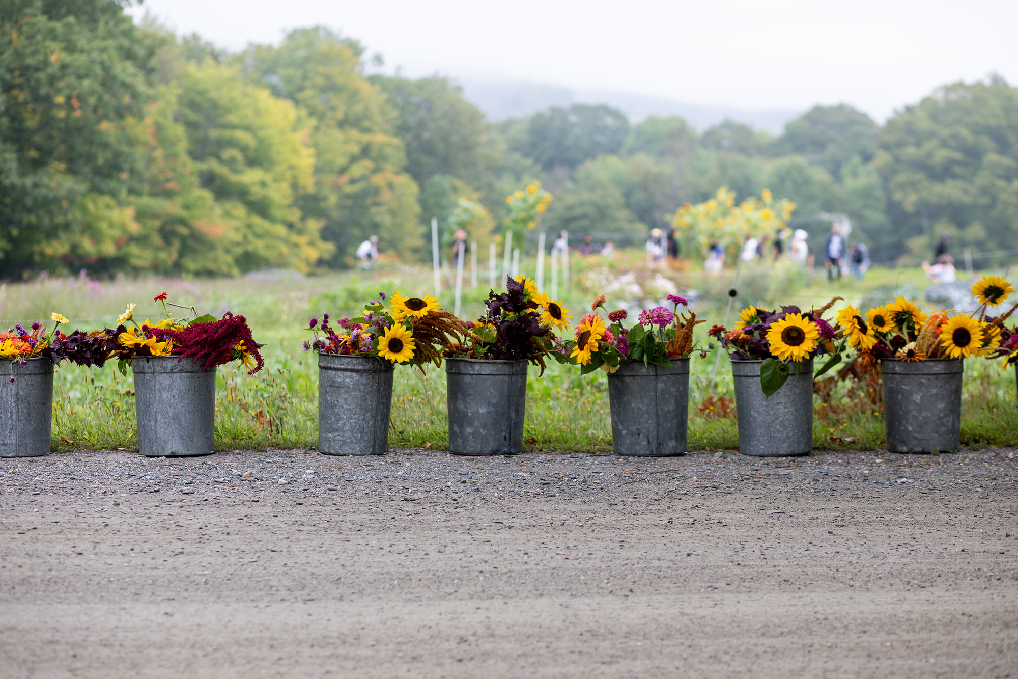 garden-flowerbuckets