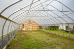 garden-greenhouse-inside-empty