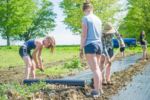 garden-prep