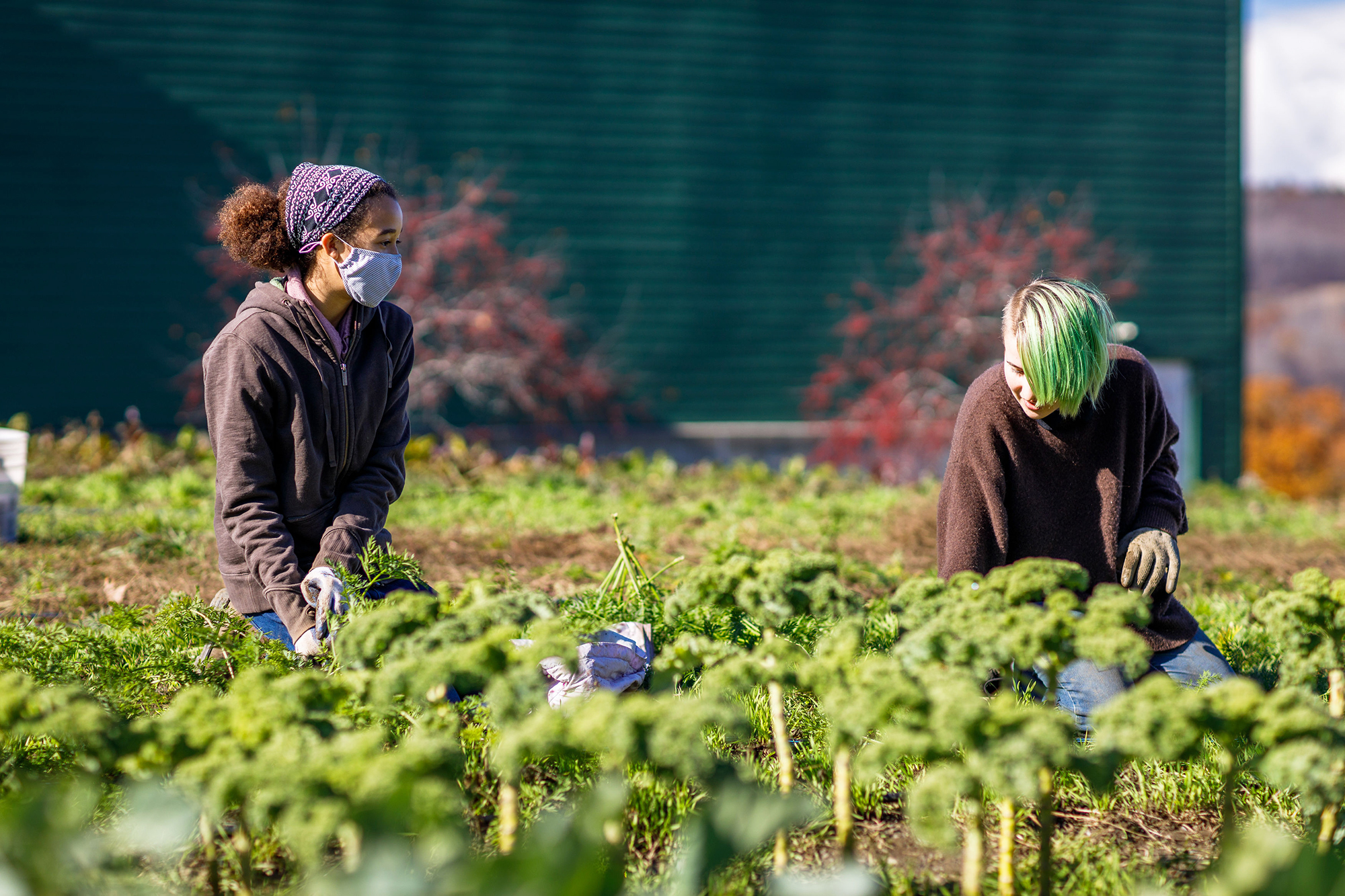 garden-tending