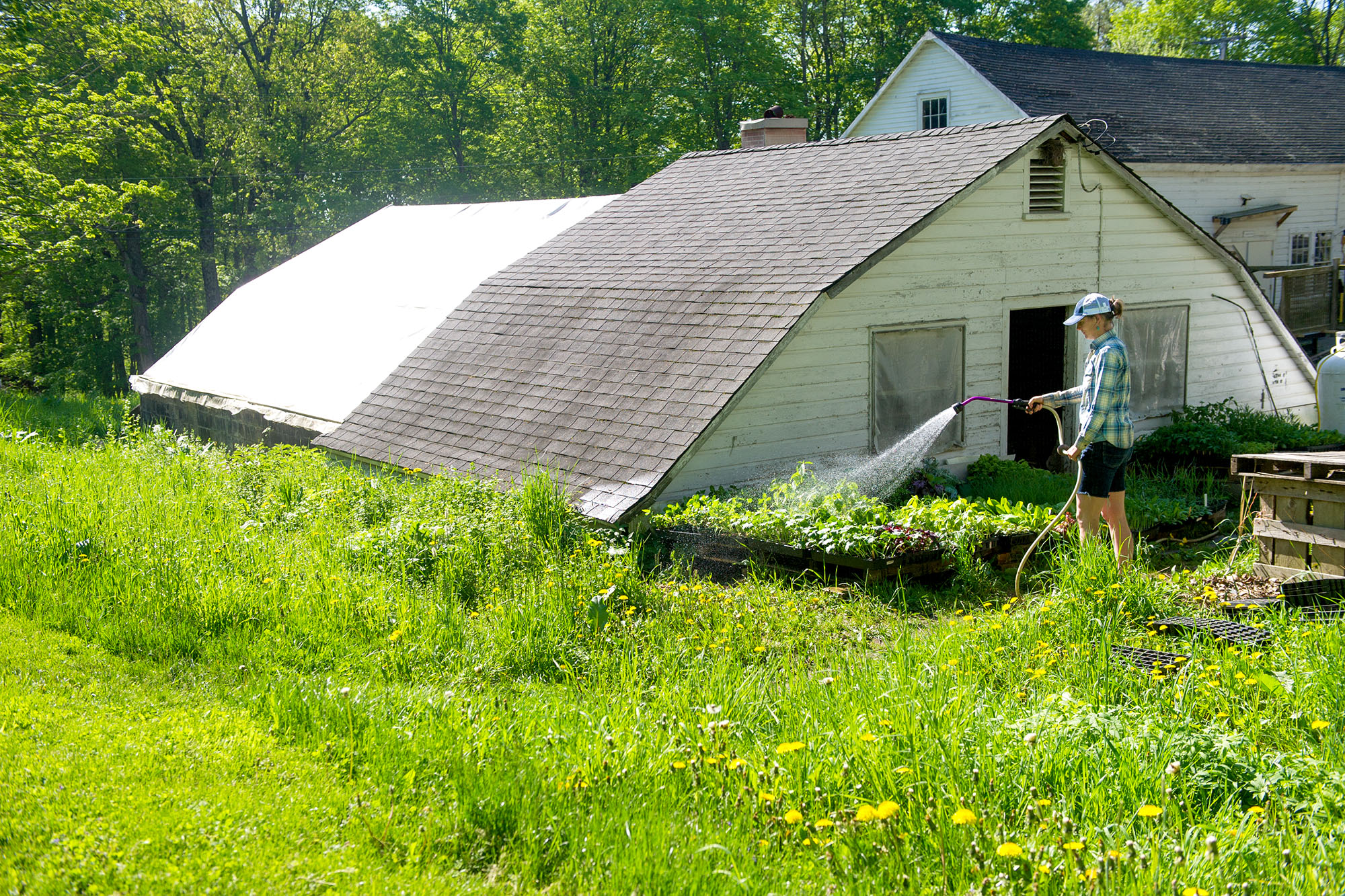 Land and Garden The Putney School