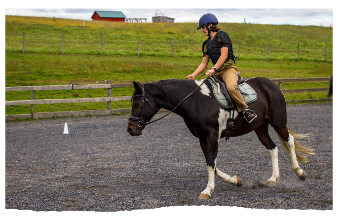 Equestrian stable